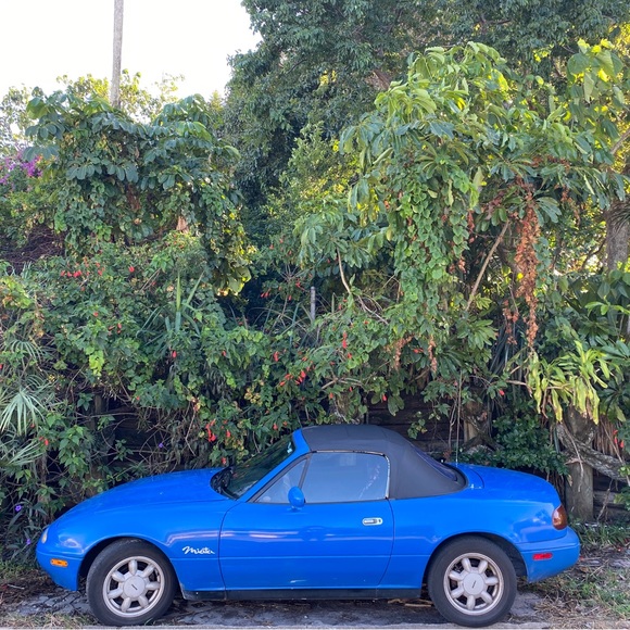 Meet your Posher, Will - Picture 4 of 9